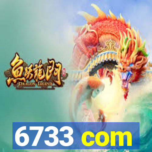 6733 com